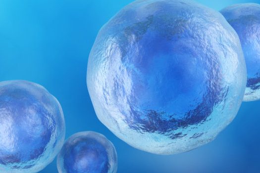 regenerative-cellular-tissue-aka-stem-cells-mount-vernon-wa Regenerative Cellular Tissue aka Stem Cells Mount Vernon, WA