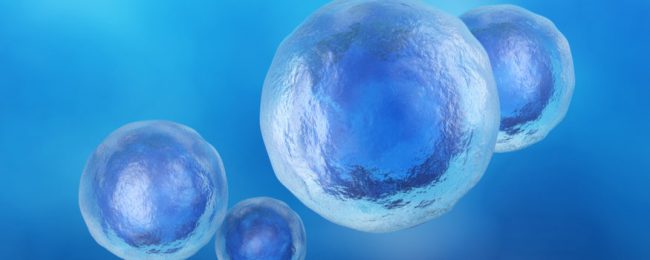 regenerative-cellular-tissue-aka-stem-cells-mount-vernon-wa Regenerative Cellular Tissue aka Stem Cells Mount Vernon, WA
