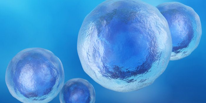 Regenerative Medicine with Stem Cells - Rindal Clinic